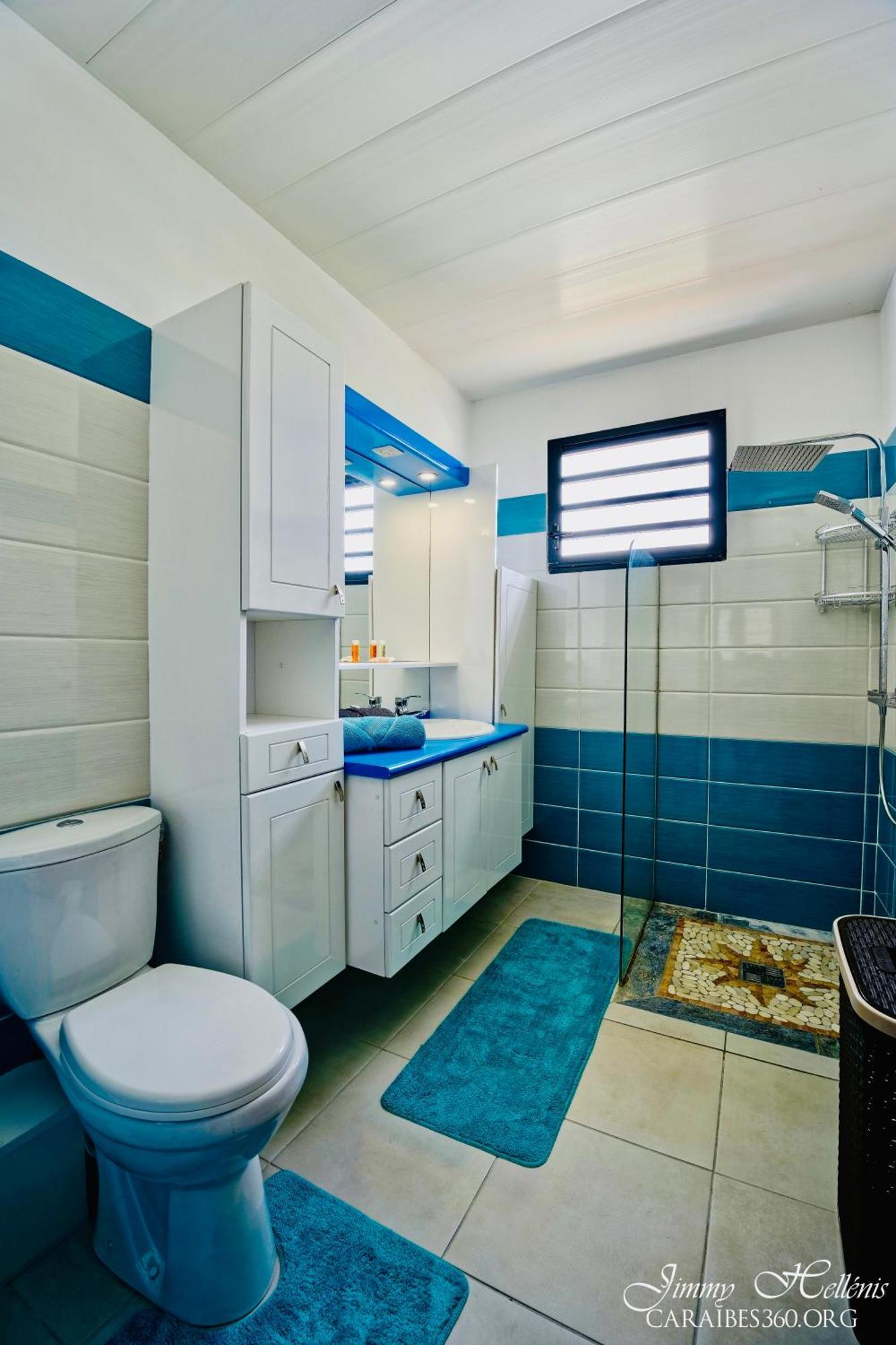 Villa T4 La Sagesse Ws - Piscine Privee Riviere-Salee Экстерьер фото
